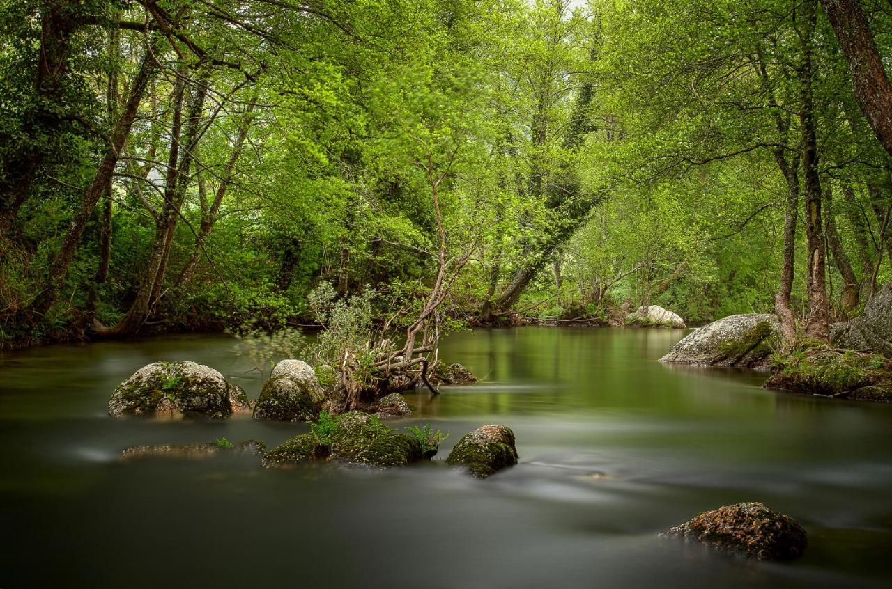 Villa Alzira Seia Dış mekan fotoğraf