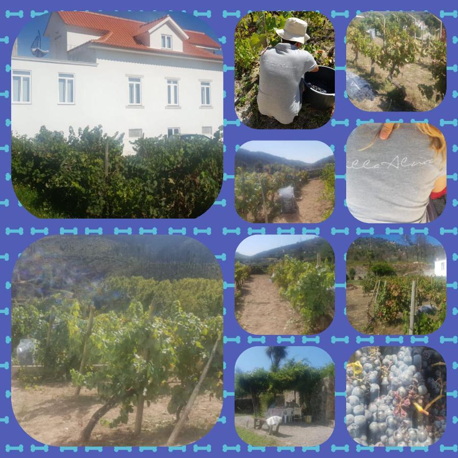 Villa Alzira Seia Dış mekan fotoğraf