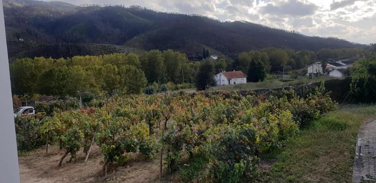 Villa Alzira Seia Dış mekan fotoğraf