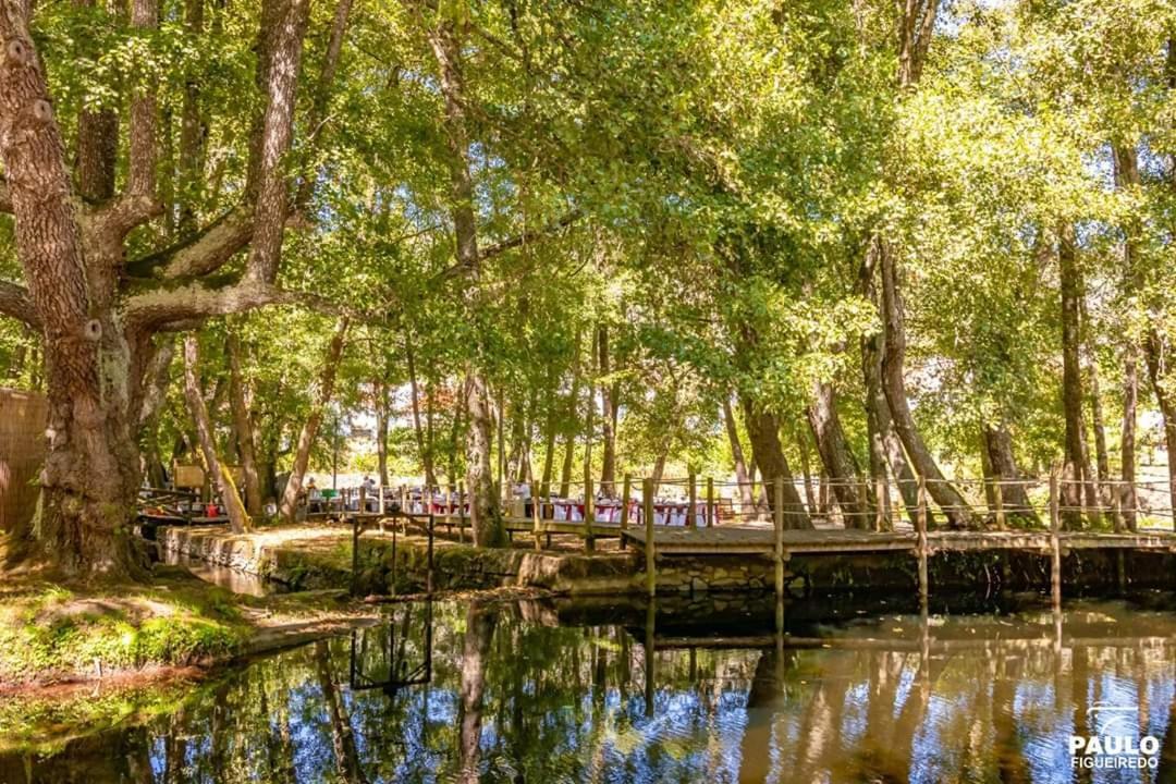Villa Alzira Seia Dış mekan fotoğraf