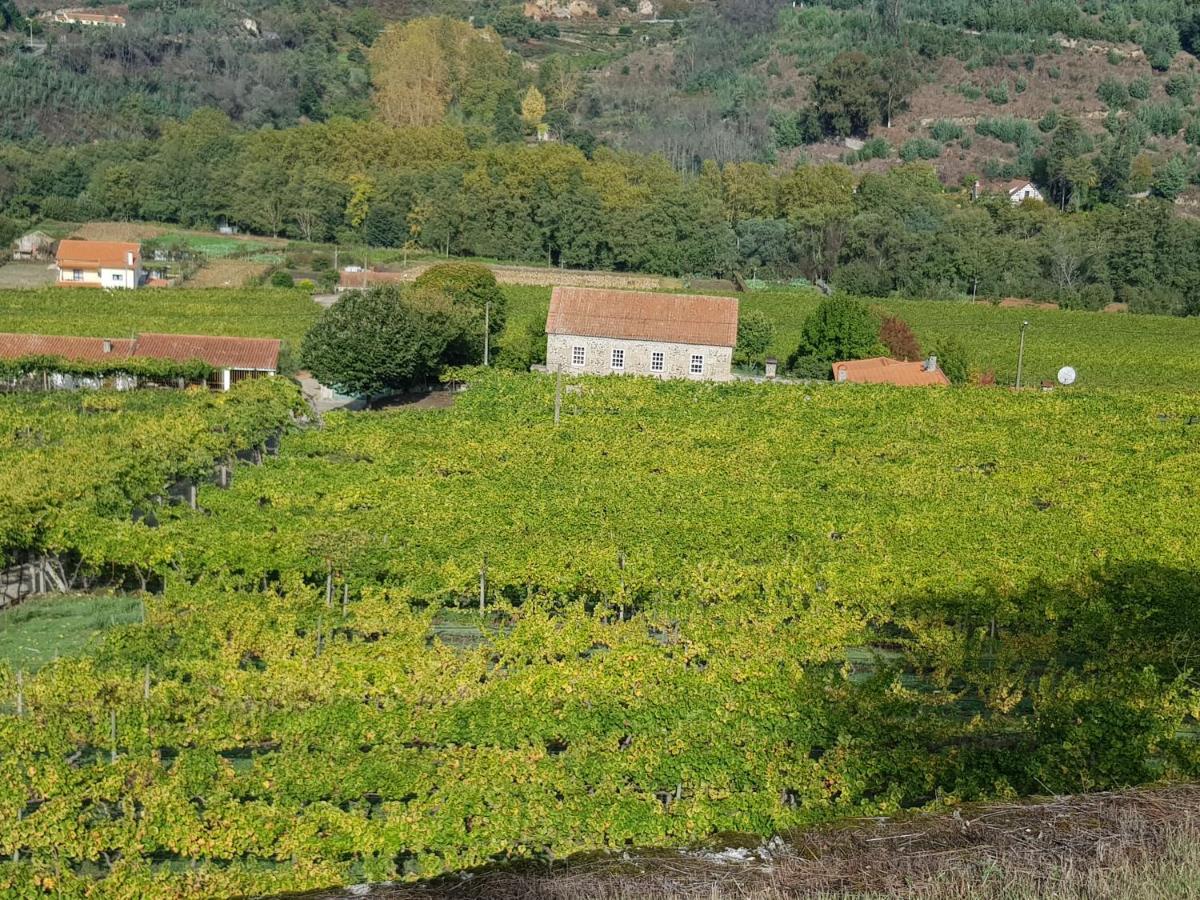 Villa Alzira Seia Dış mekan fotoğraf